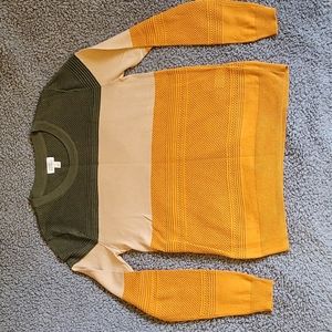 Market & Spruce Olive, Beige, and Mustard Sweater